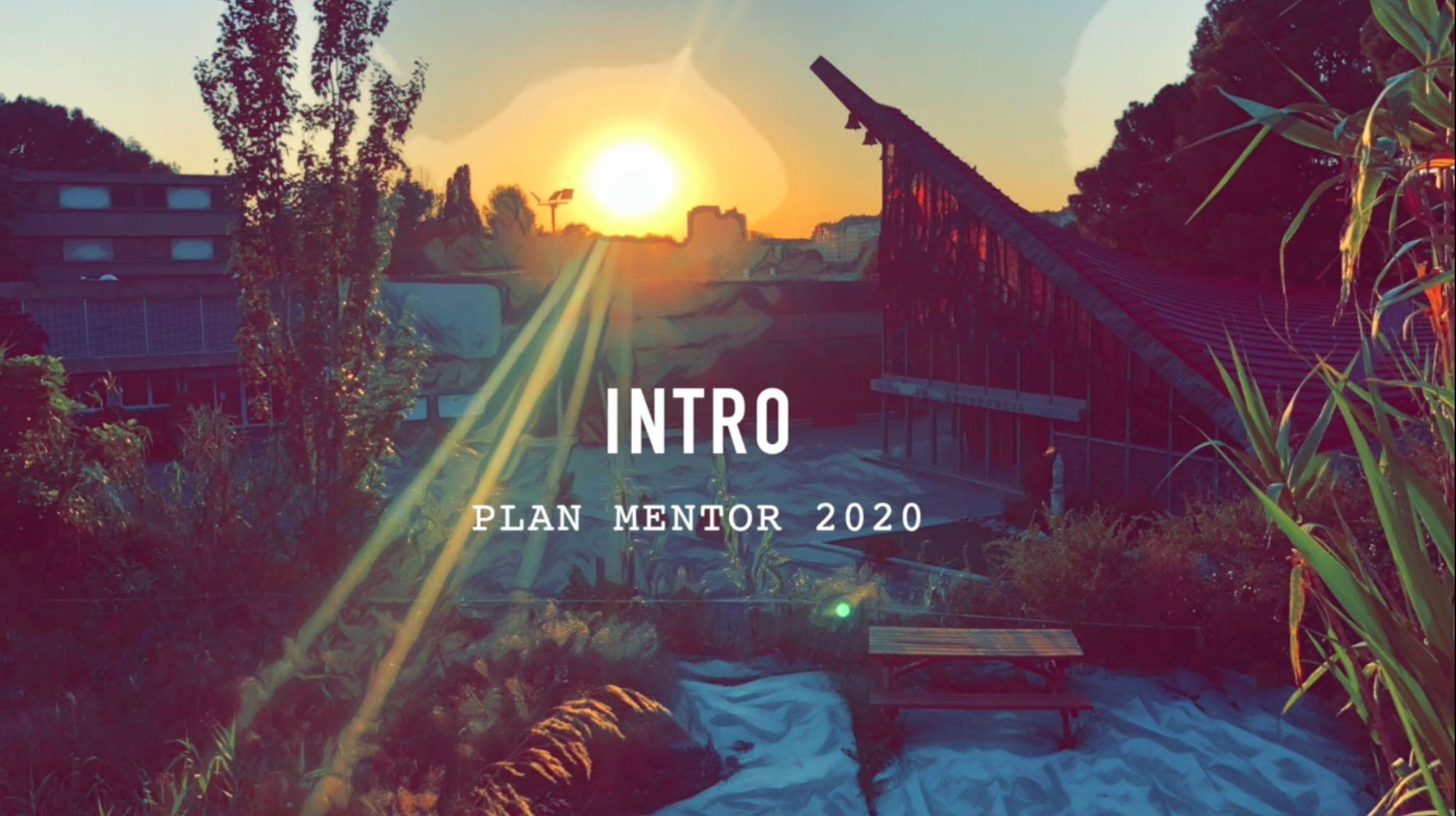 mentor1 web