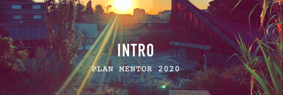 mentor1 web