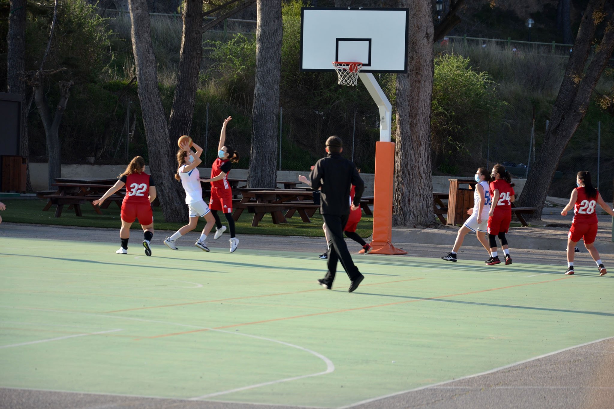 DSC 0141 web
