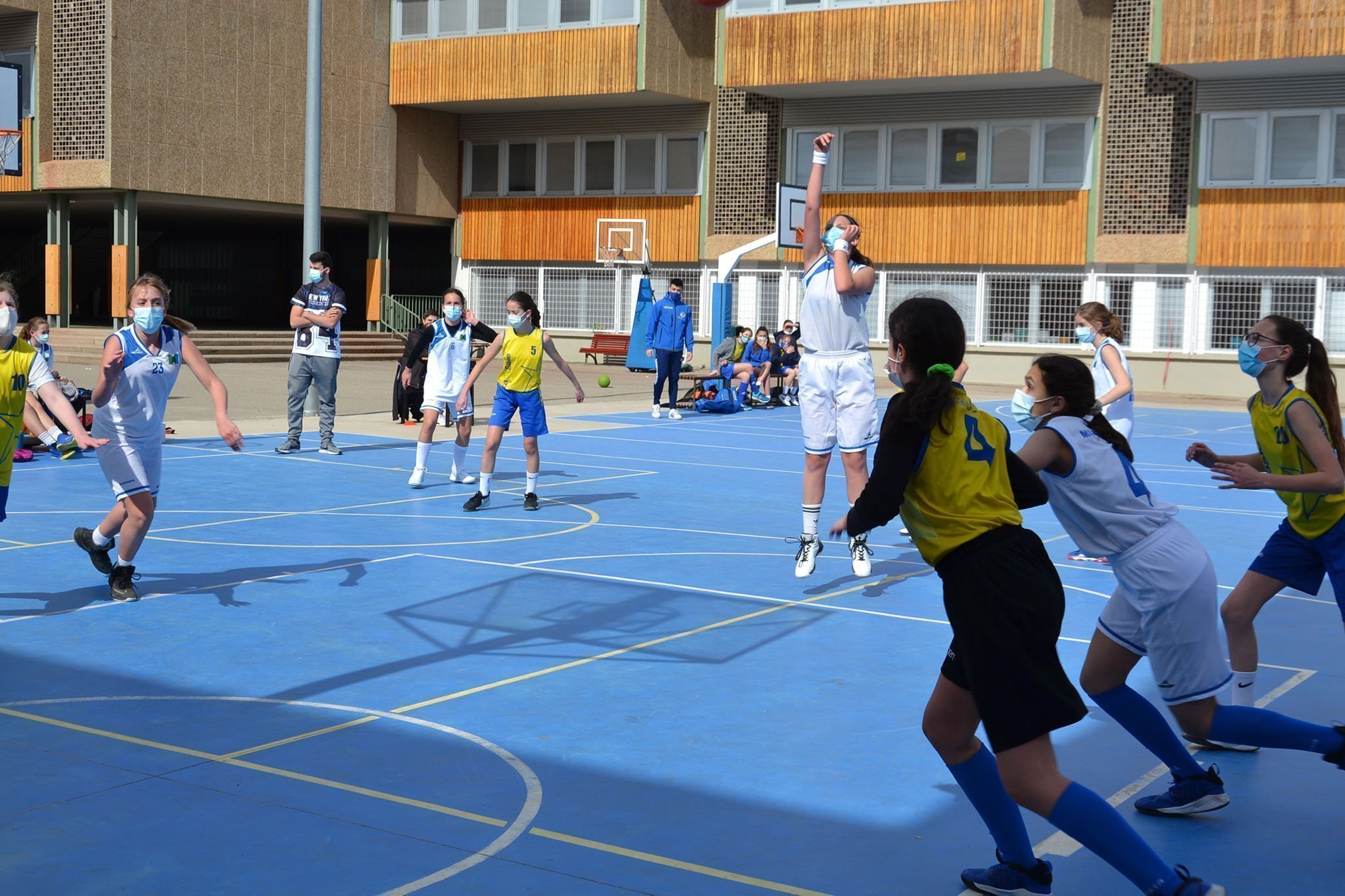 DSC 0201 web