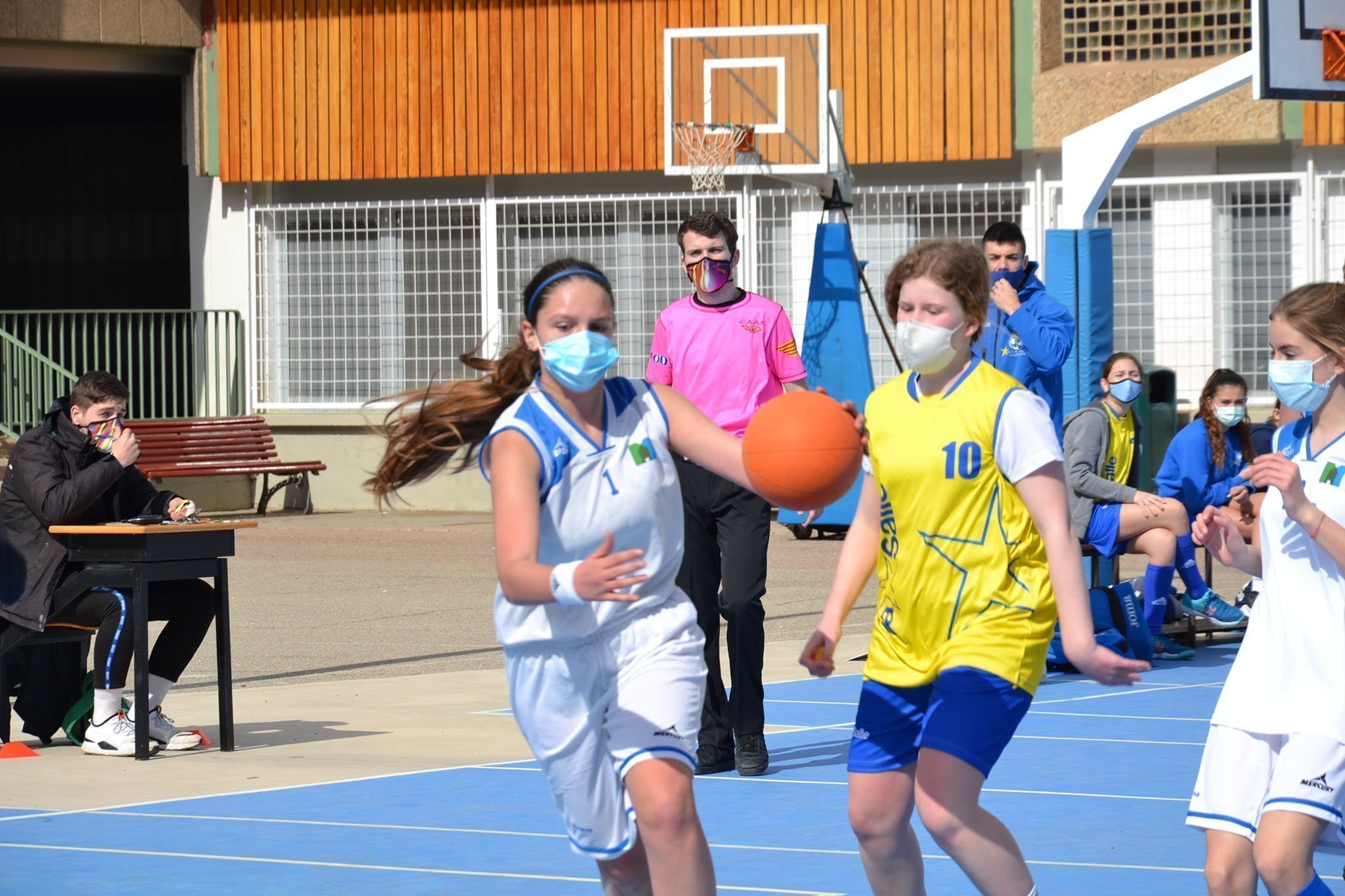DSC 0208 web