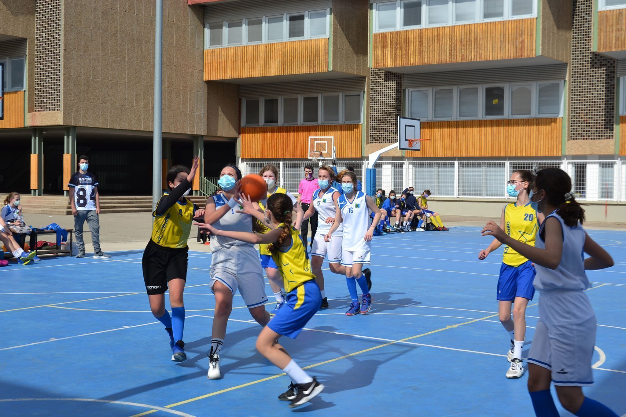DSC 0210 web